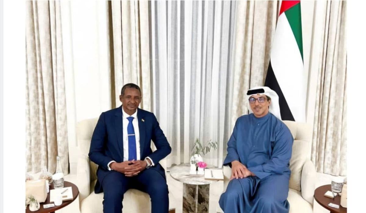 مسؤولون إماراتيون متهمون أمام "الجنائية الدولية" بتسهيل ارتكاب فضائع في السودان